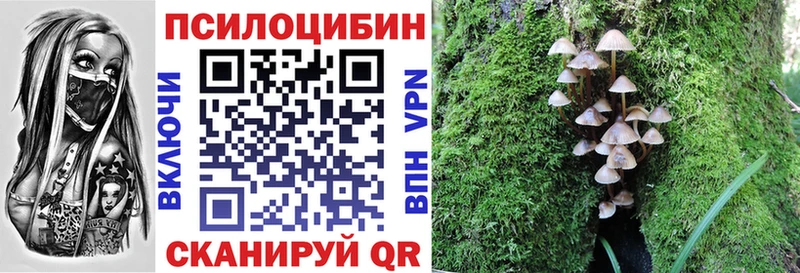 Псилоцибиновые грибы GOLDEN TEACHER  Белинский 